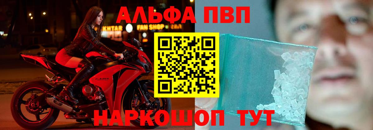 Альфа ПВП СК КРИС Железноводск