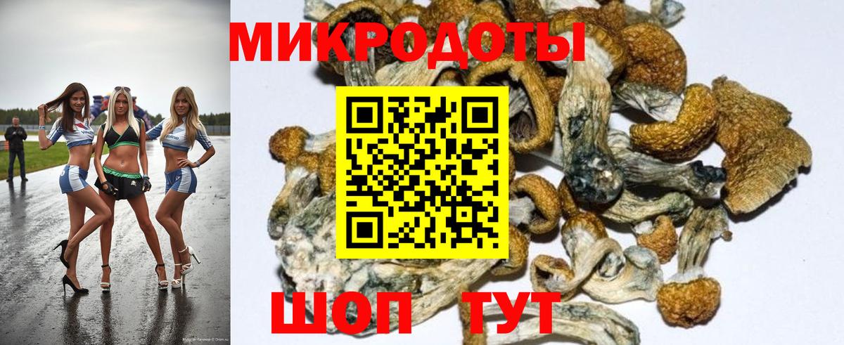 даркнет сайт  Вход с VPN  Псилоцибиновые грибы Magic Shrooms  Железноводск  Псилоцибиновые грибы ЛСД 